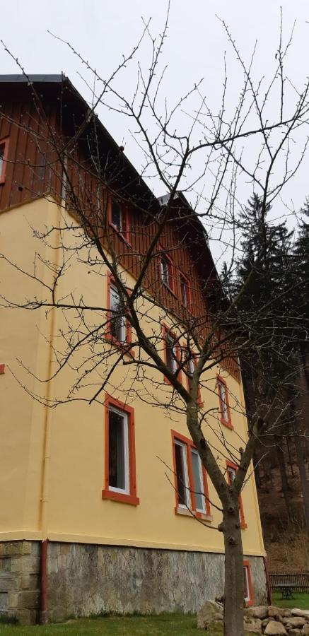 Haus Stefanie Elvire Apartamento Altenberg  Exterior foto