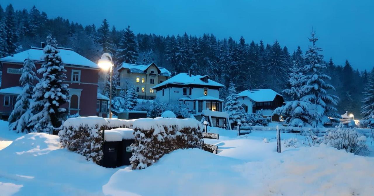 Haus Stefanie Elvire Apartamento Altenberg  Exterior foto