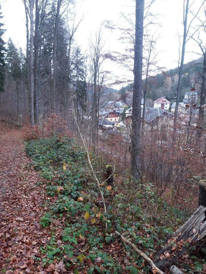 Haus Stefanie Elvire Apartamento Altenberg  Exterior foto
