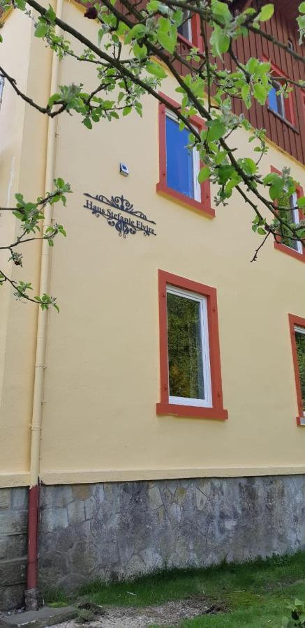 Haus Stefanie Elvire Apartamento Altenberg  Exterior foto
